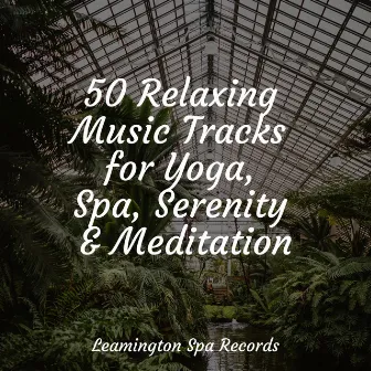 50 Relaxing Music Tracks for Yoga, Spa, Serenity & Meditation by Sounds of Nature White Noise Sound Effects