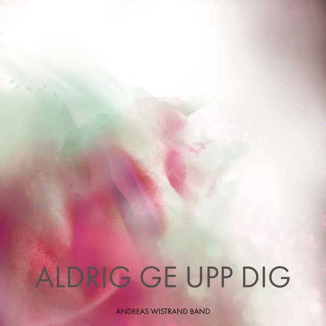 Aldrig ge upp dig - Radio Edit