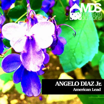 American Lead by Angelo Diaz Jr.