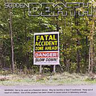 Fatal Accident Zone by Sudden Death