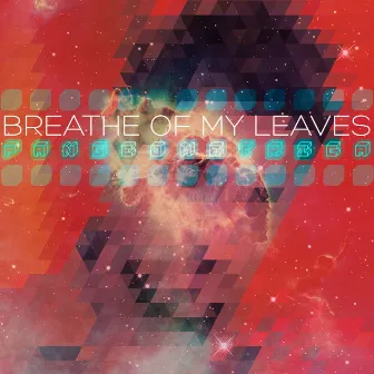 Pangeometrica by Breathe of My Leaves