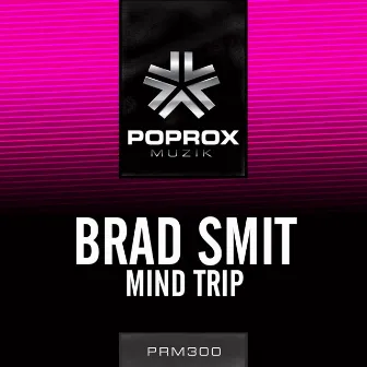 Mindtrip by Brad Smit