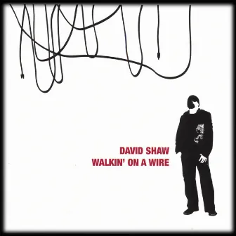 Walkin' On A Wire by David Shaw