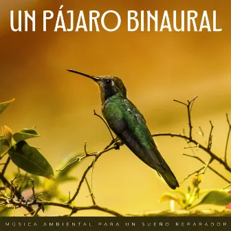 Un Pájaro Binaural: Música Ambiental Para Un Sueño Reparador by Bajo La Estrella