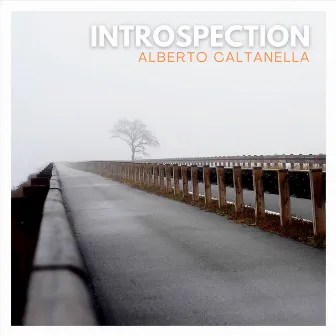 Introspection by Alberto Caltanella