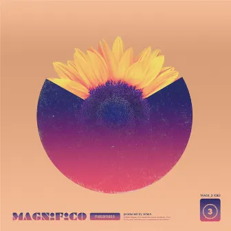 Magnifico by Masamasa