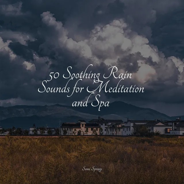 50 Soothing Rain Sounds for Meditation and Spa