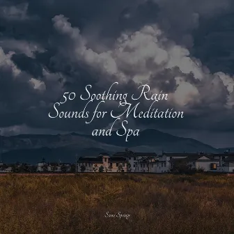 50 Soothing Rain Sounds for Meditation and Spa by Nature and Rain