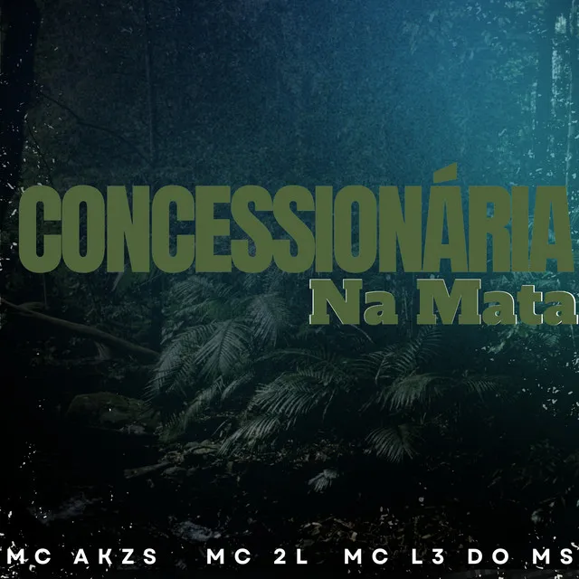 Concessionária na Mata