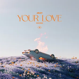 Your Love by Descend