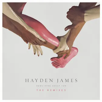 Something About You (The Remixes) by Hayden James