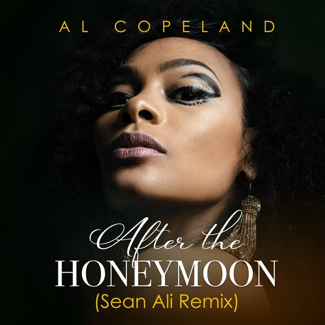 After the Honeymoon (Sean Ali Remix) [Soul Groove Edit Instrumental]