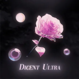 Dicent Ultra by Altum Terra