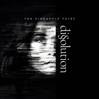 Dissolution by The Pineapple Thief