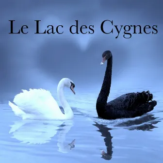 Le Lac des Cygnes: Belle Musique pour Danse Classique et Contemporaine, Musique de Piano pour Danse à la Barre et Ballet by Unknown Artist