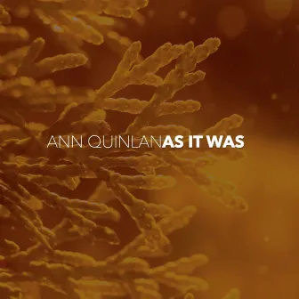 As It Was by Ann Quinlan