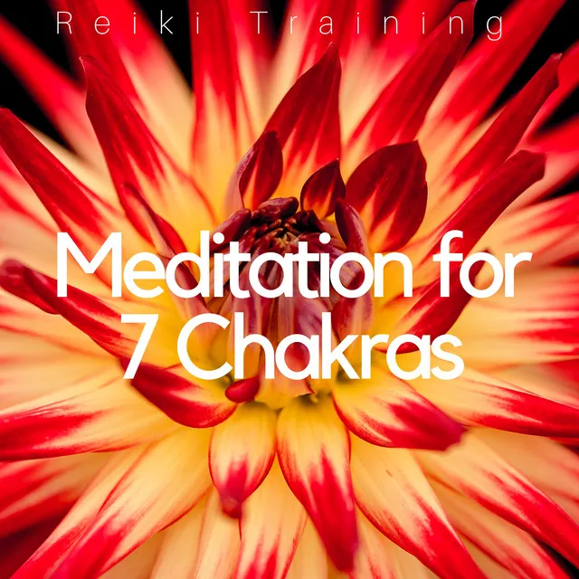 Meditation for 7 Chakras: Reiki Training, Inner Peace, Zen Harmony, Instrumental New Age Music for Body Mind & Soul Connection