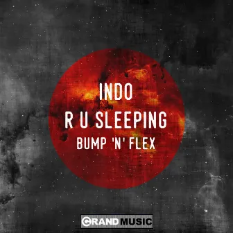 R U Sleeping - Bump 'N' Flex by Indo