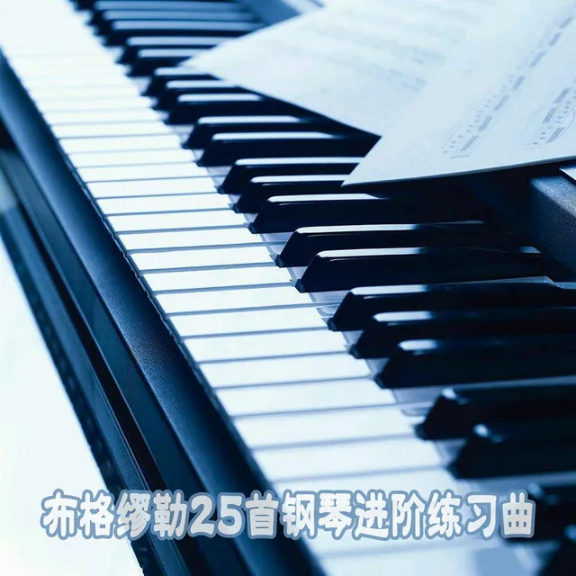 圣母颂, Op. 100, No. 19