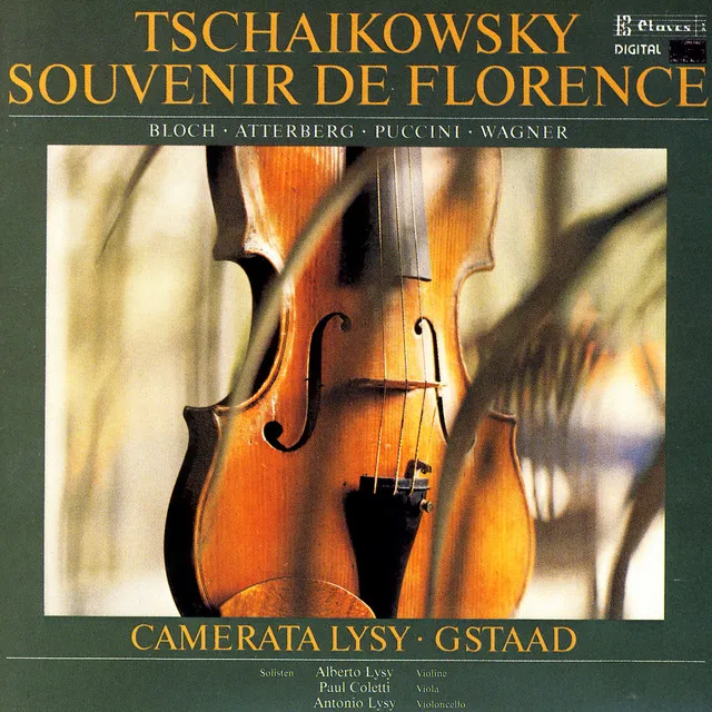 Tchaikovsky, Bloch, K. Atterberg, Puccini & Wagner: Music for Strings