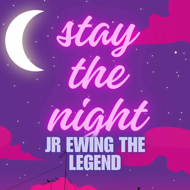 Stay The Night