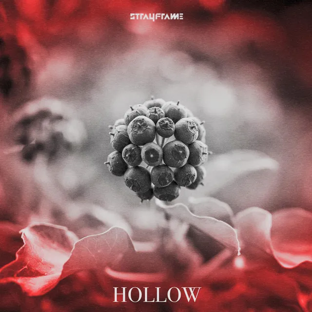 Hollow