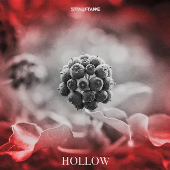 Hollow by Strayframe