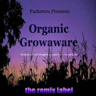 Organic Growaware by Paduraru