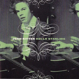 Hello Starling by Josh Ritter