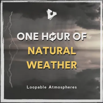 1 Hour Of Natural Weather by Rain Sounds Factory STHLM