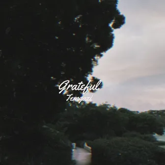 Grateful by Temgazi