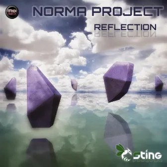 Reflection by Norma Project