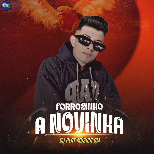 Forrozinho a Novinha