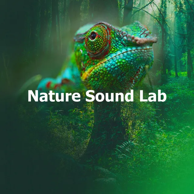 Nature Sound Lab