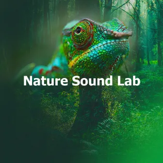 Nature Sound Lab by Sound of Muses