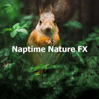 Naptime Nature FX by Attractive Nature Sounds