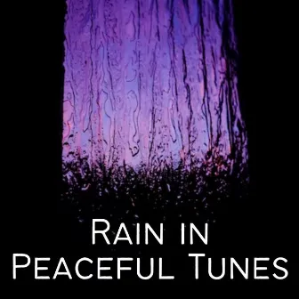 Rain in Peaceful Tunes by Sounds of Rain White Noise Sleep