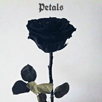 Petals by Whollis