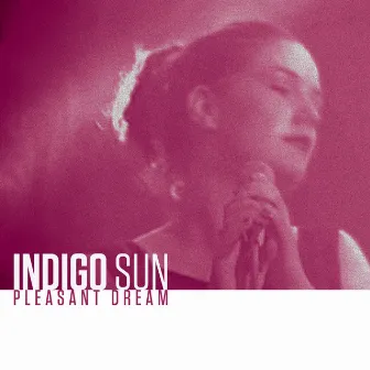 Pleasant Dream (Live) by Indigo Sun