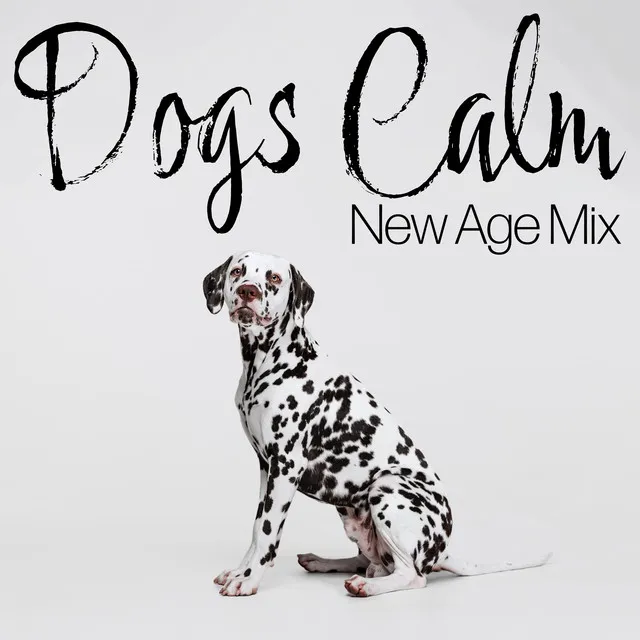 Dogs Calm New Age Mix