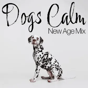 Dogs Calm New Age Mix by Source of Serenity