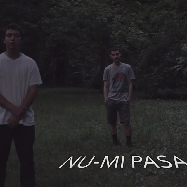 Nu-Mi Pasa