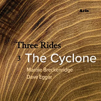 Three Rides: 3. The Cyclone by Herschel Garfein