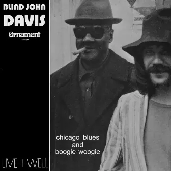 Chigago Blues and Boogie-Woogie (Live) by Blind John Davis