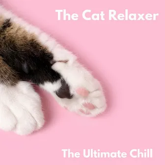 The Ultimate Chill by The Cat Relaxer