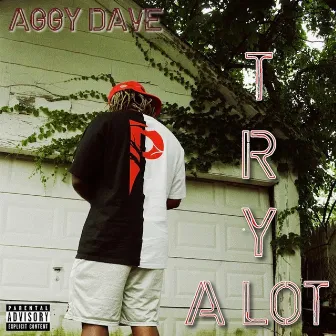 Try a Lot by Aggy Dave