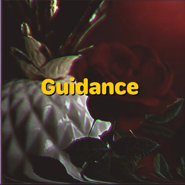 Guidance