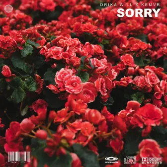 Sorry by Drika Will