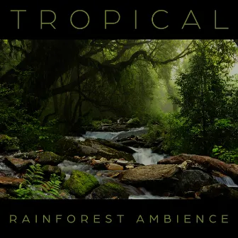 Tropical Rainforest Ambience: Relaxing Nature Sounds for Sleep, Study, Stress Relief, Spa by Rainforest