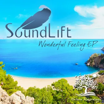 Wonderful Feeling EP by SoundLift